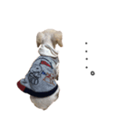 まなむく（個別スタンプ：5）