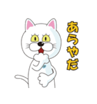 第一弾 猫柳さん出番ですヨ♪（徳用40個）（個別スタンプ：5）