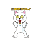 第一弾 猫柳さん出番ですヨ♪（徳用40個）（個別スタンプ：17）