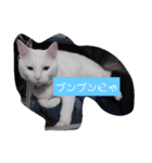 フランはくにゃんdays（個別スタンプ：2）