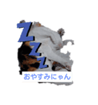 フランはくにゃんdays（個別スタンプ：3）