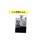 フランはくにゃんdays（個別スタンプ：5）