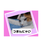 フランはくにゃんdays（個別スタンプ：6）