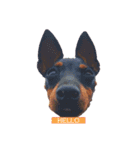 MALIBUdog2（個別スタンプ：3）