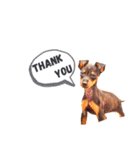 MALIBUdog2（個別スタンプ：8）