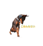 MALIBUdog2（個別スタンプ：9）