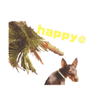 MALIBUdog2（個別スタンプ：16）