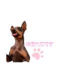 MALIBUdog2（個別スタンプ：22）