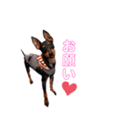 MALIBUdog2（個別スタンプ：23）