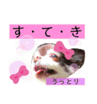 チョコ＆まろんの日常♪♫（個別スタンプ：9）