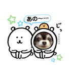 チョコ＆まろんの日常♪♫（個別スタンプ：14）