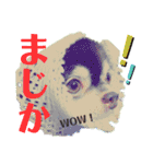 チョコ＆まろんの日常♪♫（個別スタンプ：16）