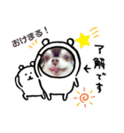チョコ＆まろんの日常♪♫（個別スタンプ：19）
