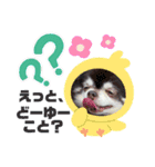 チョコ＆まろんの日常♪♫（個別スタンプ：21）