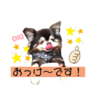 チョコ＆まろんの日常♪♫（個別スタンプ：22）