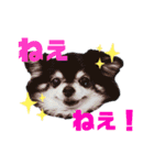 チョコ＆まろんの日常♪♫（個別スタンプ：23）