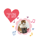 ロッシー＆くっきー2（個別スタンプ：3）