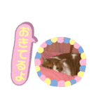 ロッシー＆くっきー2（個別スタンプ：22）