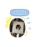 ロッシー＆くっきー2（個別スタンプ：25）