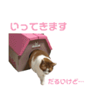 ロッシー＆くっきー2（個別スタンプ：27）