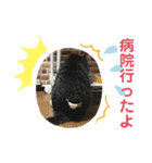ロッシー＆くっきー2（個別スタンプ：35）