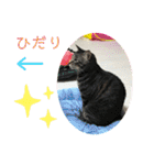 ロッシー＆くっきー2（個別スタンプ：38）