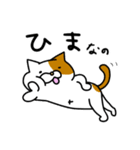 ぶさいくなねこ（個別スタンプ：12）