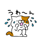 ぶさいくなねこ（個別スタンプ：17）