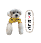 みちとら（個別スタンプ：6）