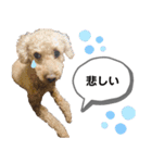茶色いモコモコの犬（個別スタンプ：6）