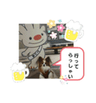 ぱぴぱぴパピヨン3（個別スタンプ：36）
