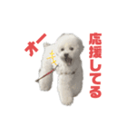 るぶるぶ のんびり2（個別スタンプ：10）