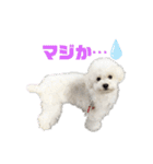 るぶるぶ のんびり2（個別スタンプ：32）