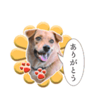 田中 そら(6)（個別スタンプ：6）