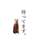 田中 そら(6)（個別スタンプ：21）