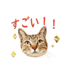 田中 そら(6)（個別スタンプ：23）