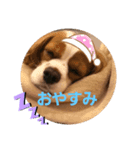 なーちゃんよろしく（個別スタンプ：5）
