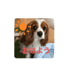 なーちゃんよろしく（個別スタンプ：6）