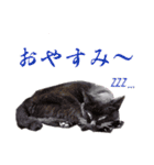 独り大喜利の漫画スタンプ（個別スタンプ：7）