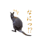 独り大喜利の漫画スタンプ（個別スタンプ：9）
