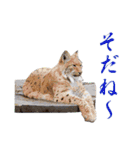 独り大喜利の漫画スタンプ（個別スタンプ：10）