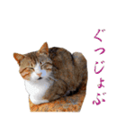 独り大喜利の漫画スタンプ（個別スタンプ：11）