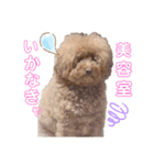 ろいくんのつぶやき（個別スタンプ：8）