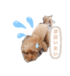 ろいくんのつぶやき（個別スタンプ：16）