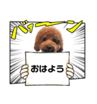 キュートなケンちゃん（個別スタンプ：1）