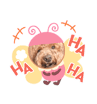 キュートなケンちゃん（個別スタンプ：12）