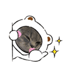 こねこのJin君（個別スタンプ：16）