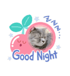 こねこのJin君（個別スタンプ：19）