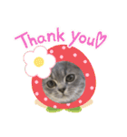 こねこのJin君（個別スタンプ：21）