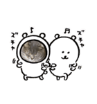 こねこのJin君（個別スタンプ：34）
